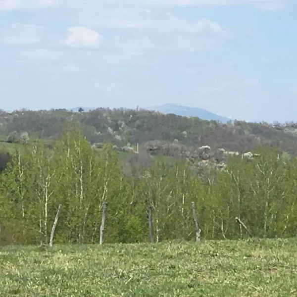 camping-bobicesti-bobicesti-vg7yz