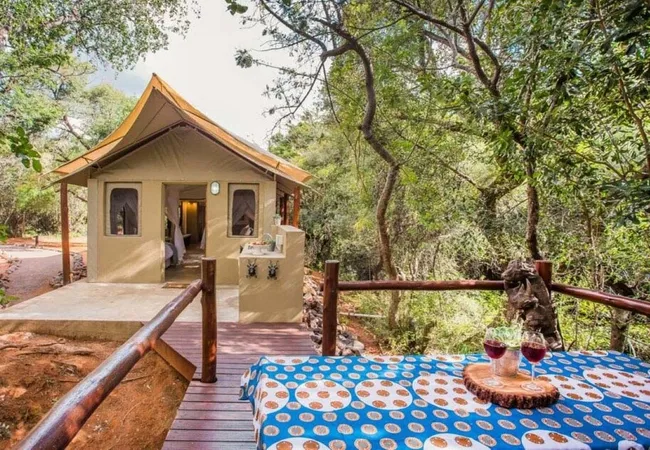 zwartkloof-tented-camp-bela-bela-cncnb