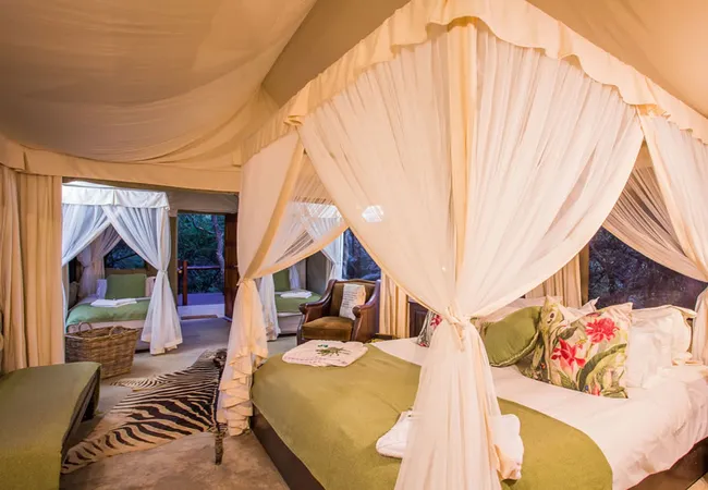 zwartkloof-tented-camp-bela-bela-df7bf