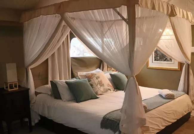 zwartkloof-tented-camp-bela-bela-tq4oe
