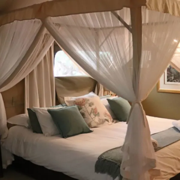 zwartkloof-tented-camp-bela-bela-tq4oe