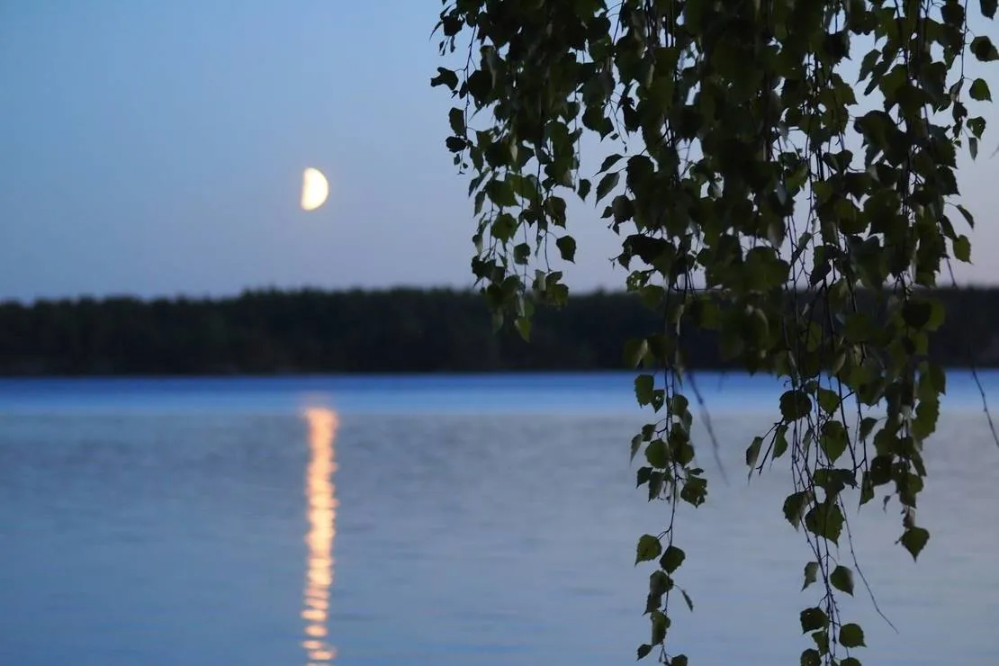 koskenselka-camping-puumala-suvjp