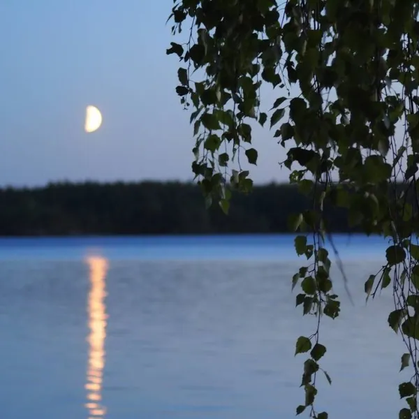 koskenselka-camping-puumala-suvjp