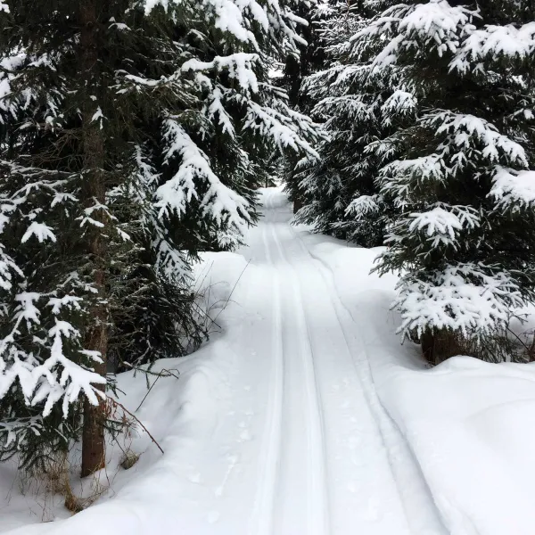 wanha-koulu-tahkovuori-kuopio-f43zo