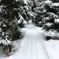 wanha-koulu-tahkovuori-kuopio-f43zo