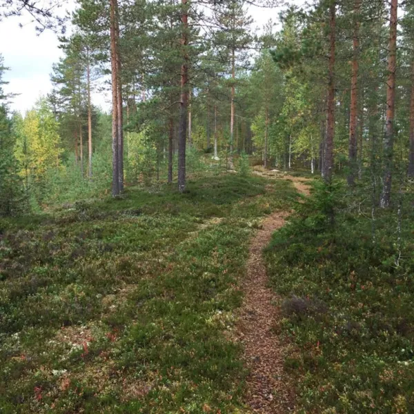 wanha-koulu-tahkovuori-kuopio-hocqa