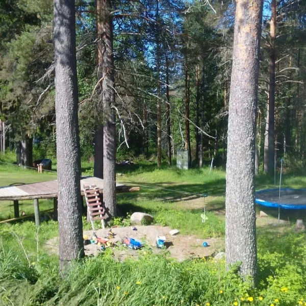 wanha-koulu-tahkovuori-kuopio-ikvnx