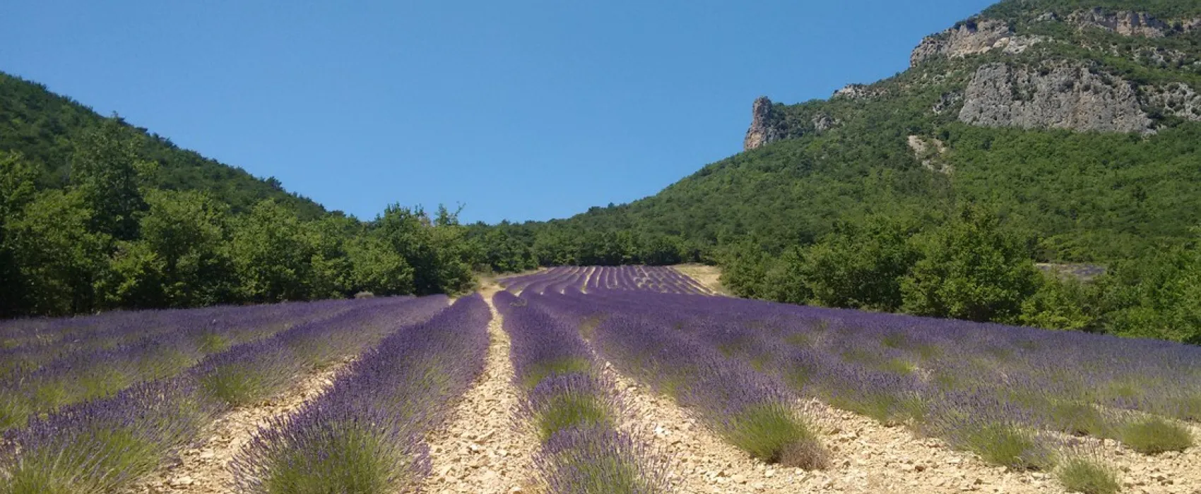 Le Pilat