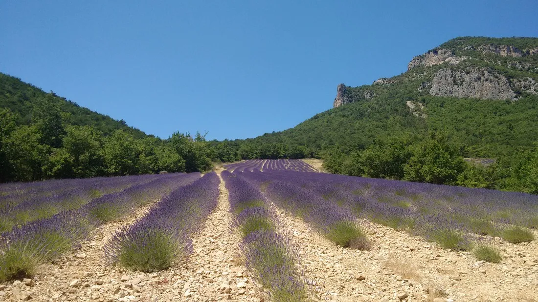 le-pilat-st-ferreol-trente-pas-dfzou