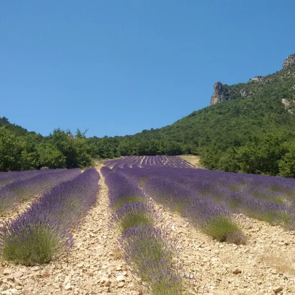 Le Pilat