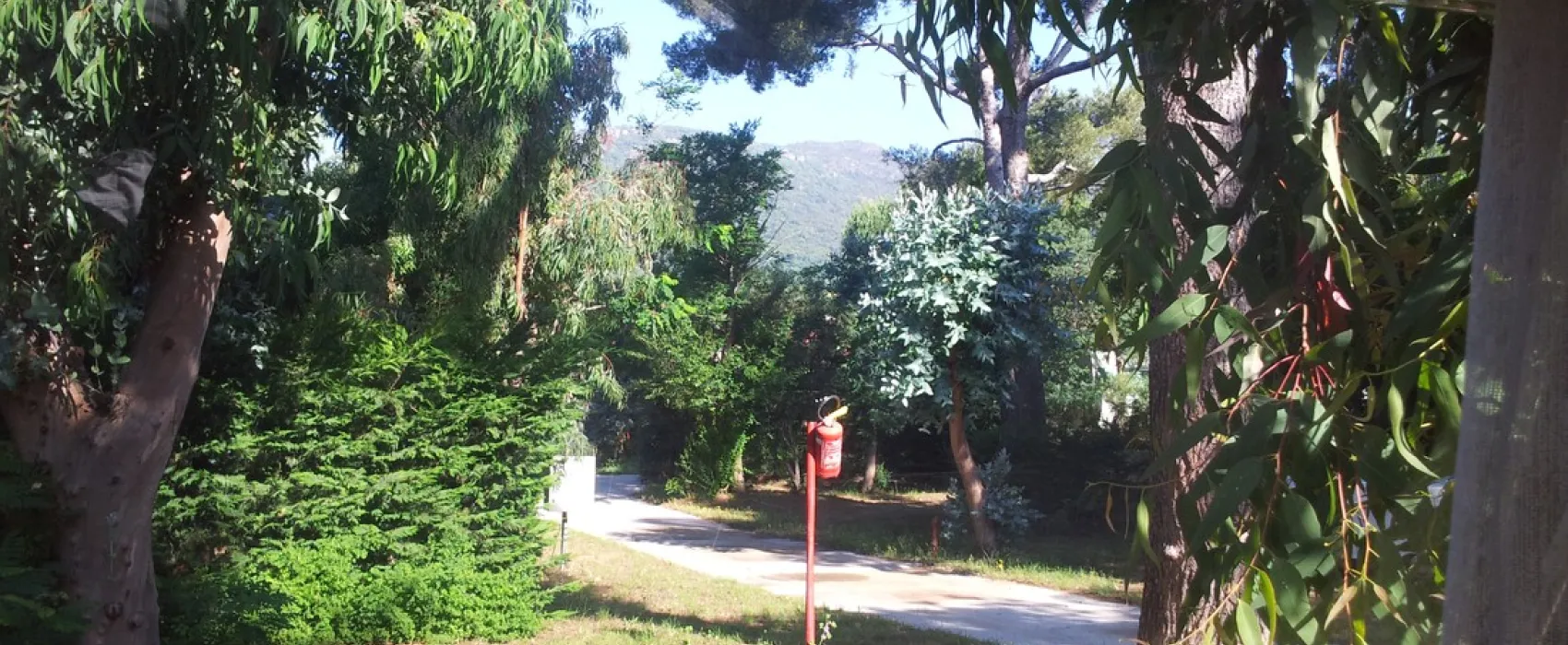 La Pinede