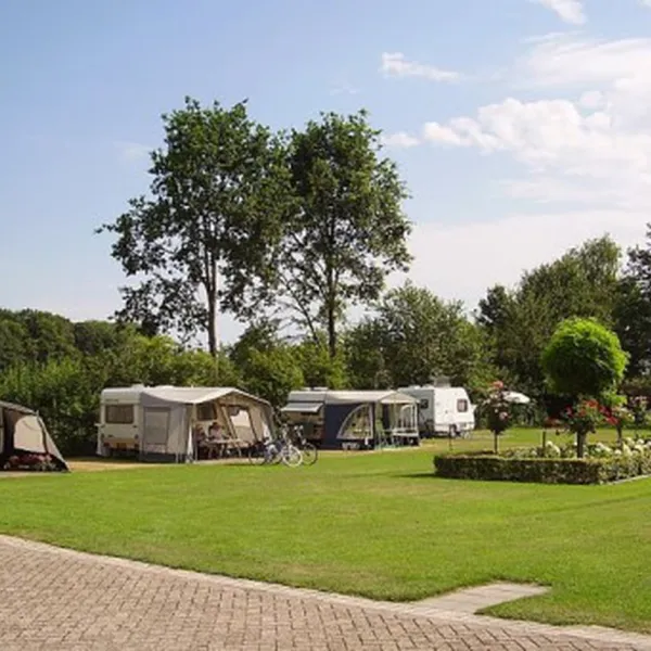 D'n Buytelaer