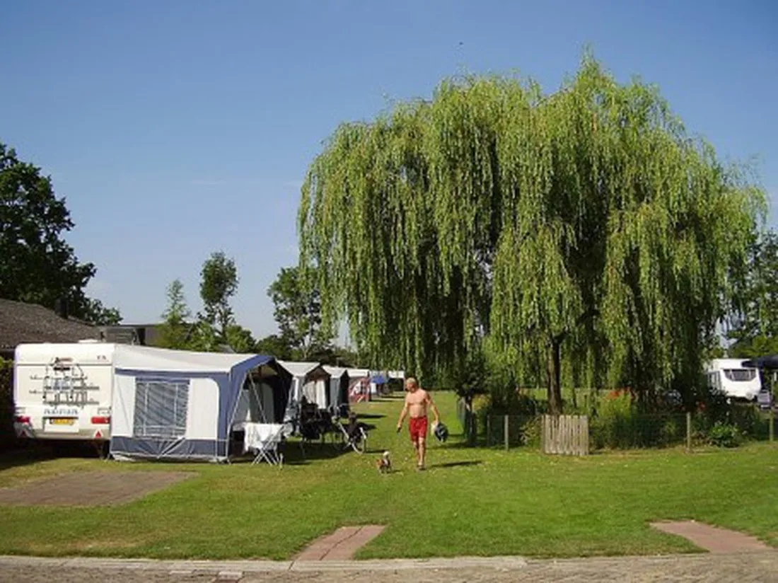 dn-buytelaer-luyksgestel-jhdgw