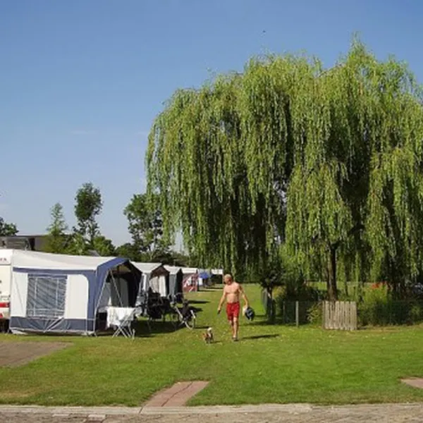 D'n Buytelaer