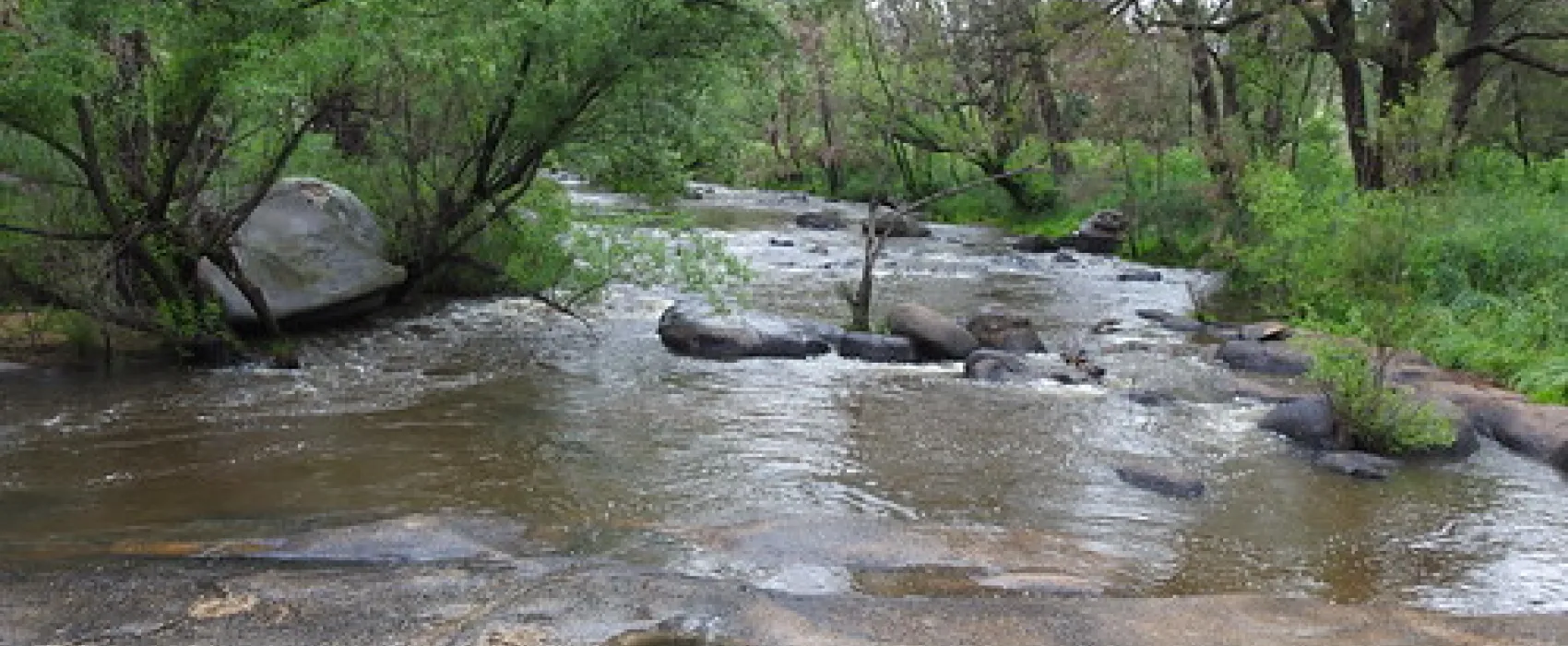 Flat Rock Campground