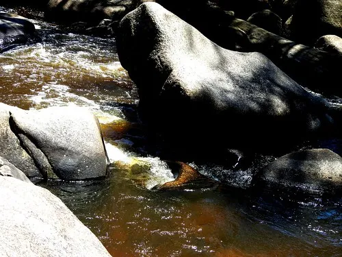 flat-rock-campground-oeqcl