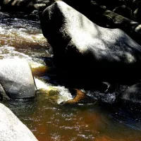 flat-rock-campground-oeqcl