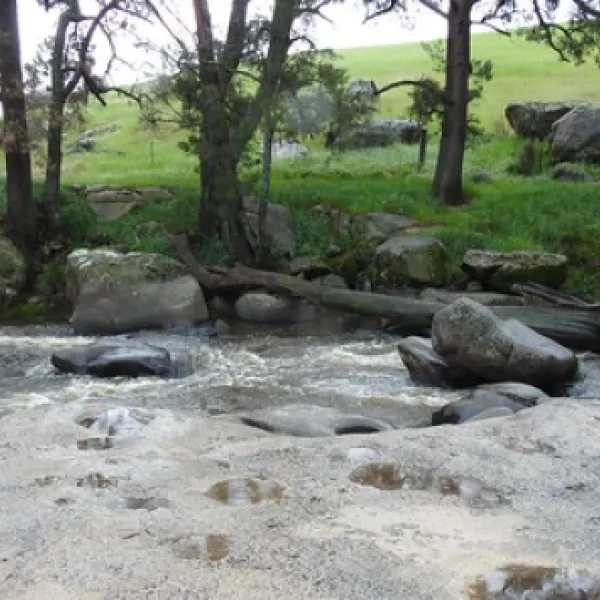 flat-rock-campground-x6roy
