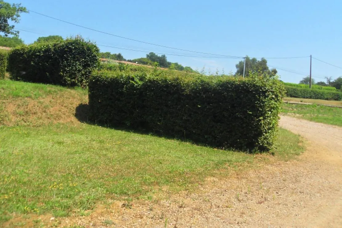 camping-municipal-vandenesse-vandenesse-11cly
