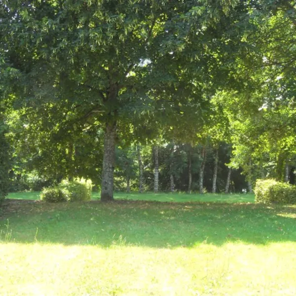 camping-municipal-vandenesse-vandenesse-is5cc