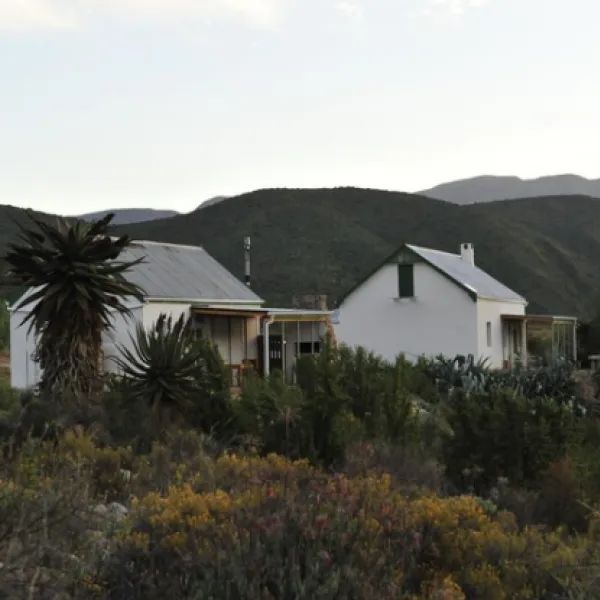 Matjiesvlei Guest Farm