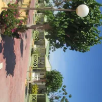 el-jardin-el-campello-cw71b