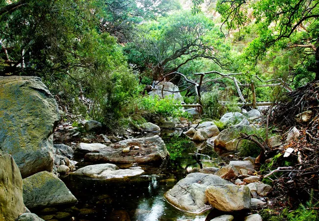 kleinrivier-wilderness-groendal-wilderness-area-eastern-cape-0ygby