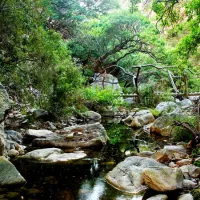 kleinrivier-wilderness-groendal-wilderness-area-eastern-cape-0ygby