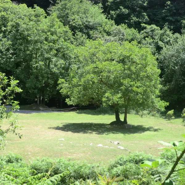 les-illes-montseny-k9qk9