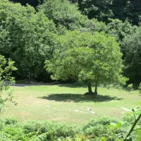 les-illes-montseny-k9qk9