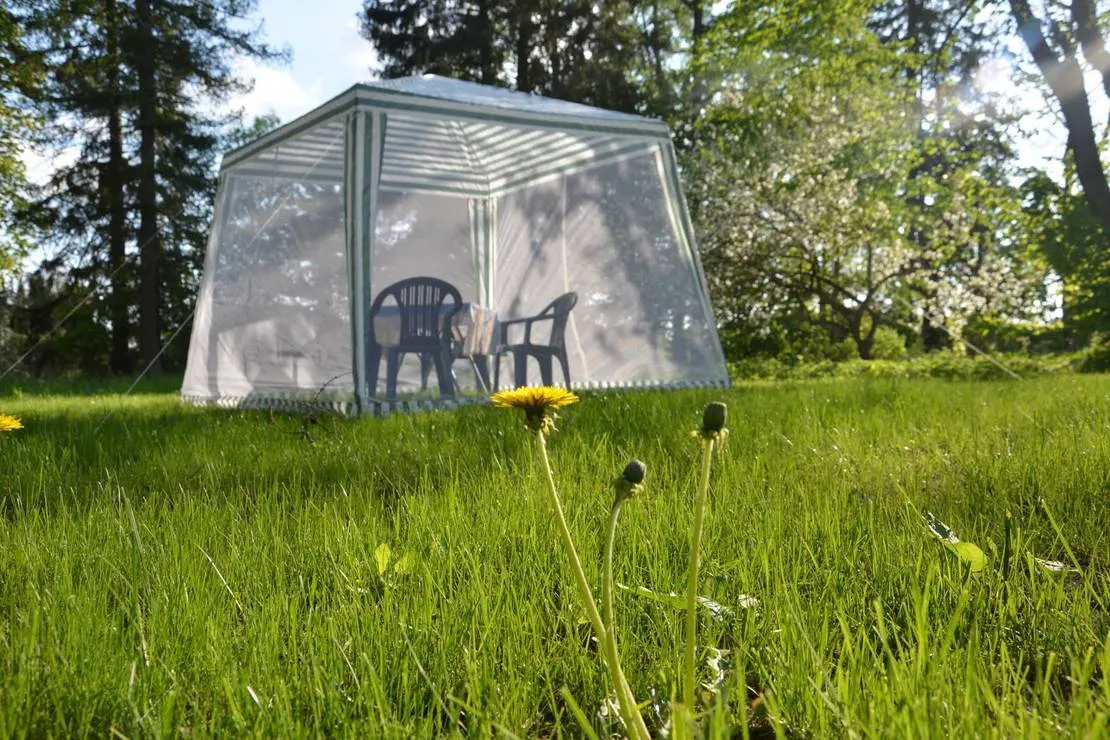 hedo-talu-nature-camping-roosiku-hskd6
