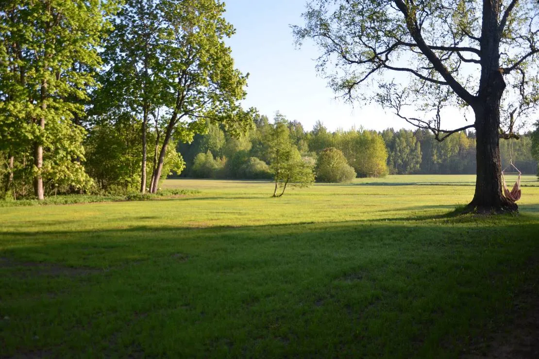 hedo-talu-nature-camping-roosiku-jptva
