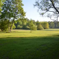 hedo-talu-nature-camping-roosiku-jptva