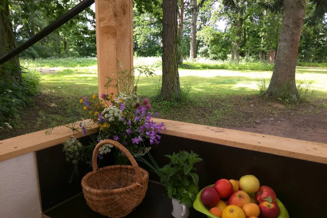 hedo-talu-nature-camping-roosiku-lflfe