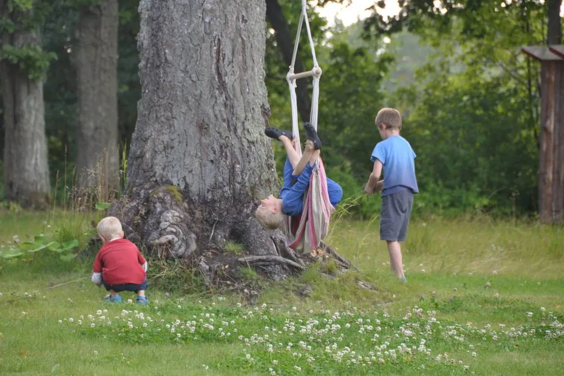 hedo-talu-nature-camping-roosiku-mtkdb