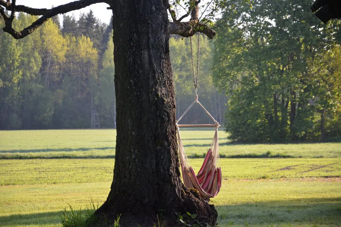 hedo-talu-nature-camping-roosiku-nrkyj