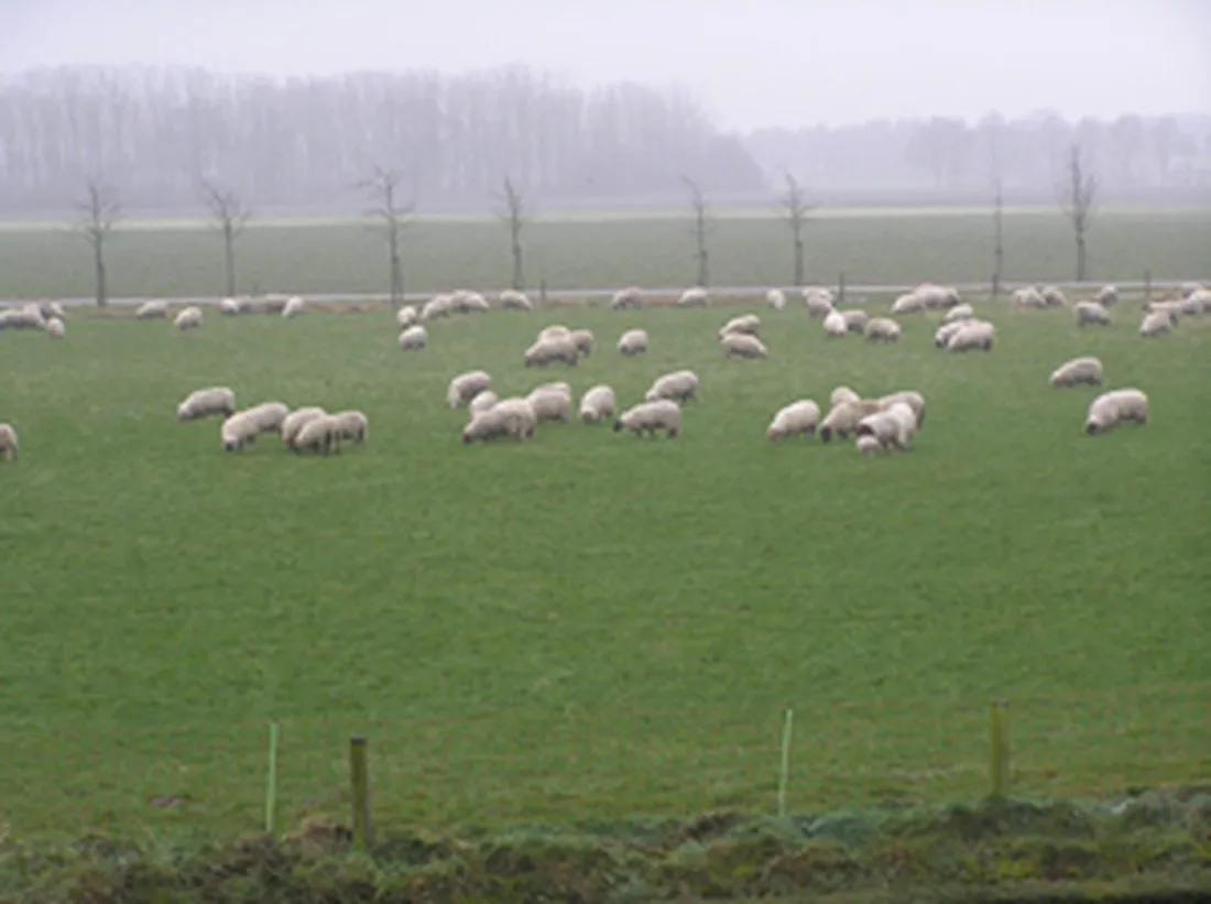 scheyvenhof-heythuysen-qy4x3