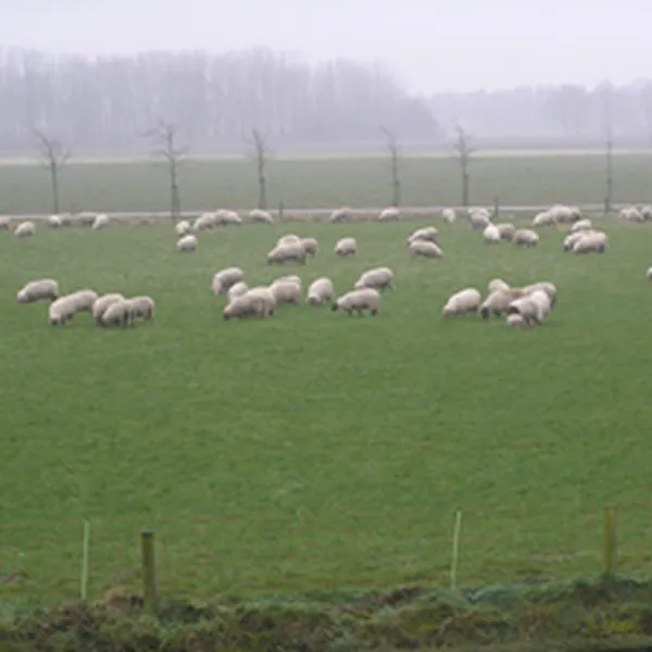 scheyvenhof-heythuysen-qy4x3