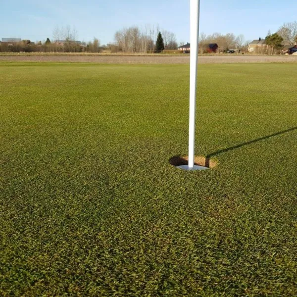 eckero-golf-eckero-xc3cg