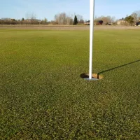 eckero-golf-eckero-xc3cg