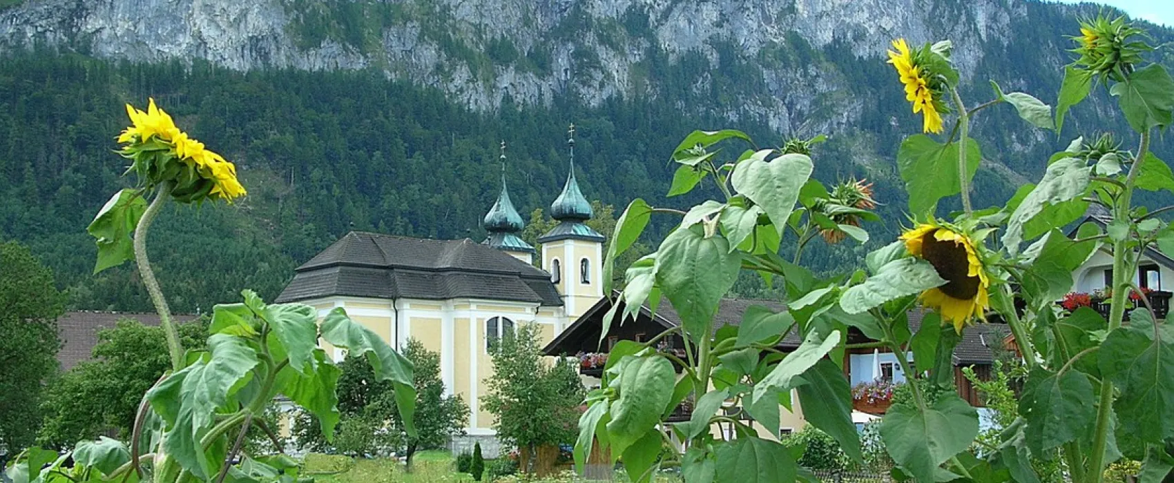 Nussbaumer Gries Plomberg
