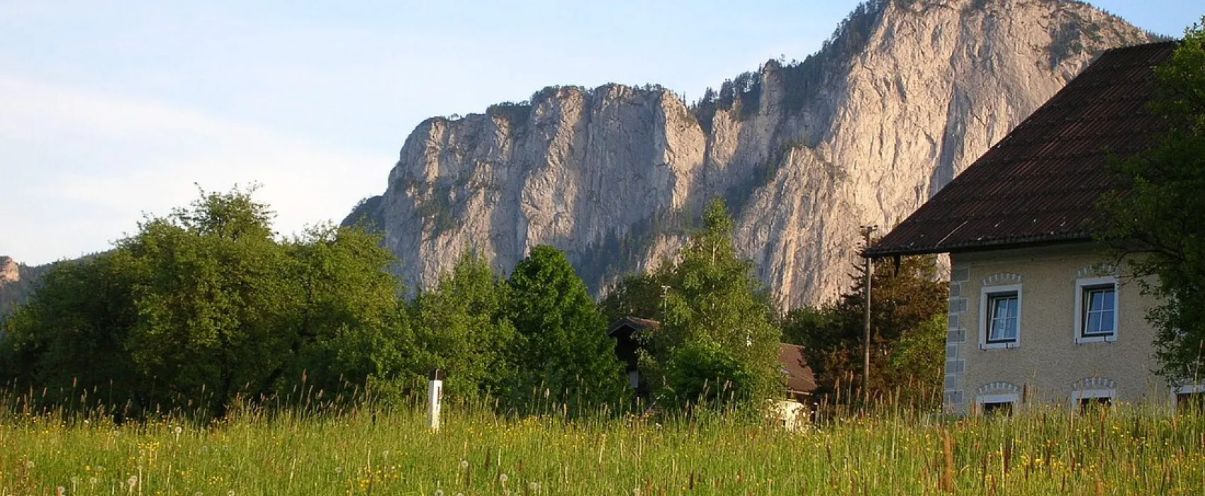Nussbaumer Gries Plomberg