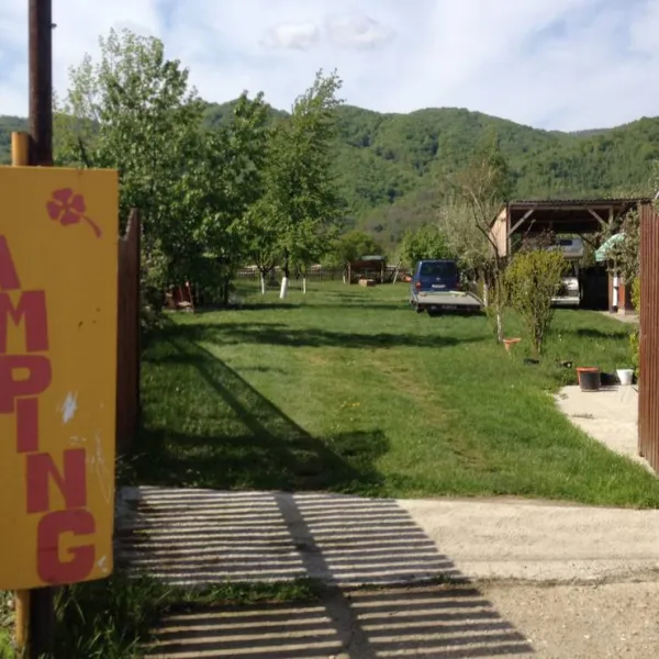 motel-camping-silvia-sadova-veche-mpd0t