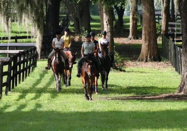 grand-oaks-rv-resort-museum-lady-lake-nggwg