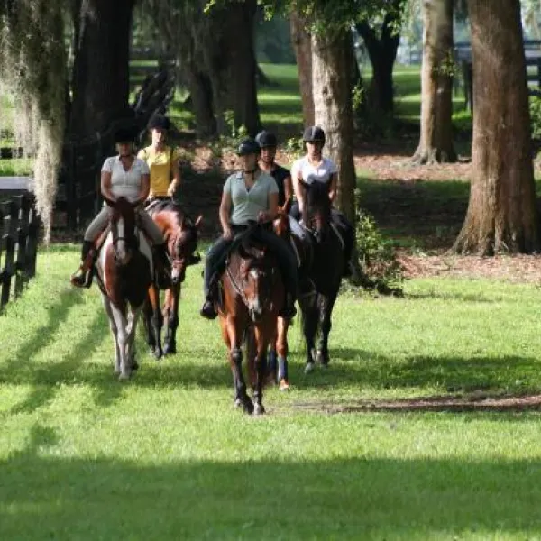 grand-oaks-rv-resort-museum-lady-lake-nggwg