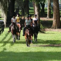 grand-oaks-rv-resort-museum-lady-lake-nggwg