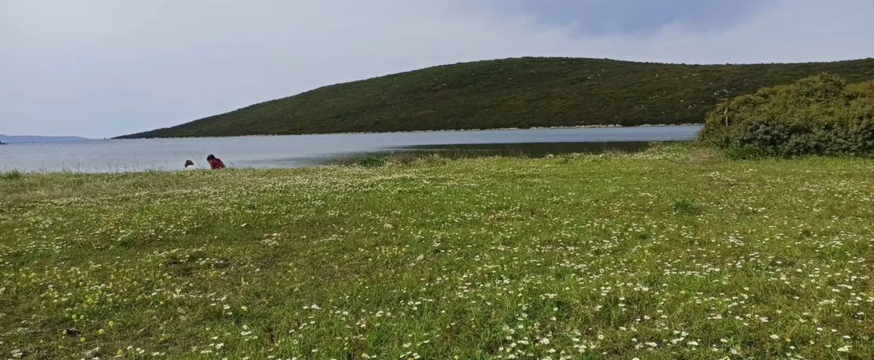 Salashurla