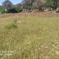 salashurla-urlaizmir-tiyq1