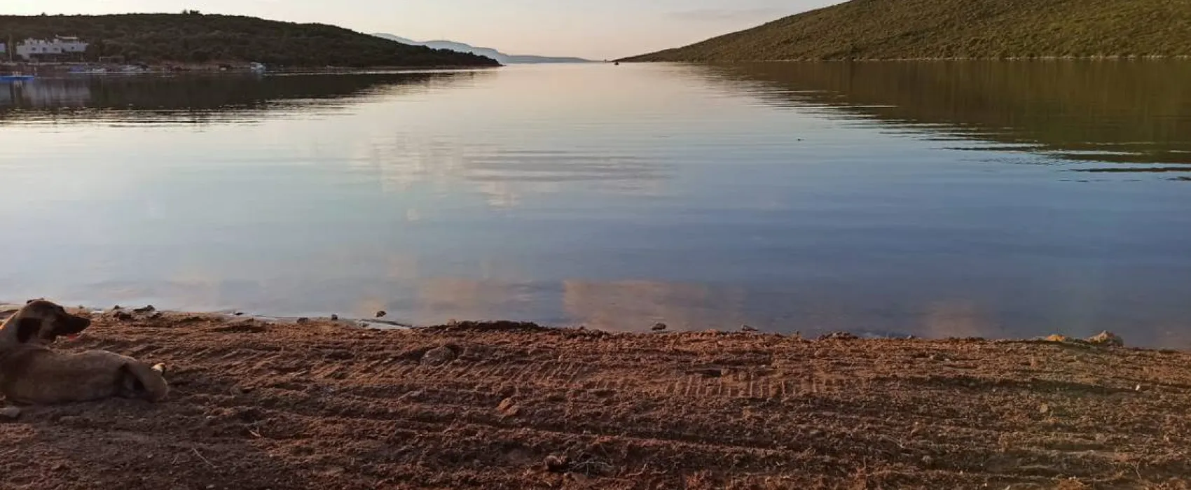 Salashurla