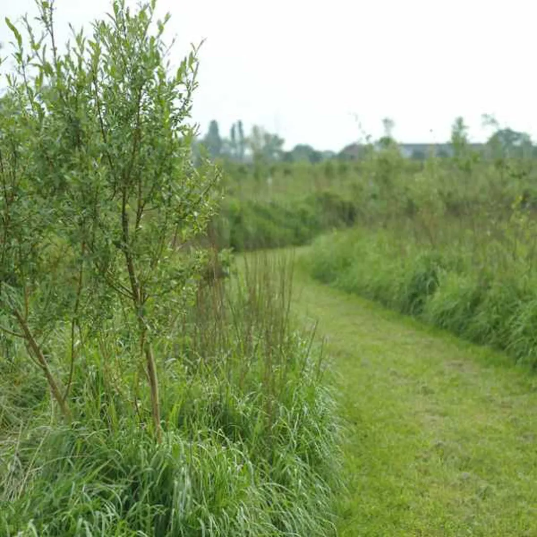 naturistencamping-grensland-kalmthout-acpgv